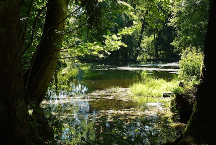 Craniosacral Bern Foto Natur